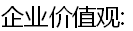 企业价值观: